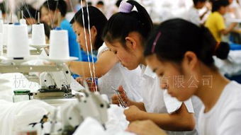 全程影像記錄與制作服務(wù) 為您呈現(xiàn)生產(chǎn)基地的每個(gè)精彩瞬間